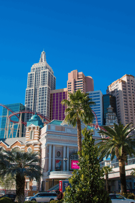 From delicious bites to thrilling sights, experience the best buffets in Vegas and top-rated things to do with kids for the ultimate family getaway.