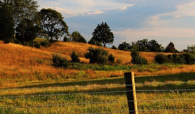 shenandoah valley, virginia, meadow, autumn, field, shenandoah valley, shenandoah valley, shenandoah valley, shenandoah valley, shenandoah valley