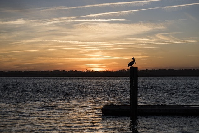 nature, sunset, water, dawn, sea, silhouetted, beach, seascape, evening, ocean, seashore, florida, st augustine, st augustine, st augustine, st augustine, st augustine, st augustine