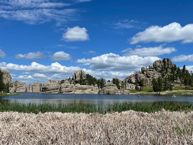 View at Custer State Park looking at Sylvan Lake Shore 