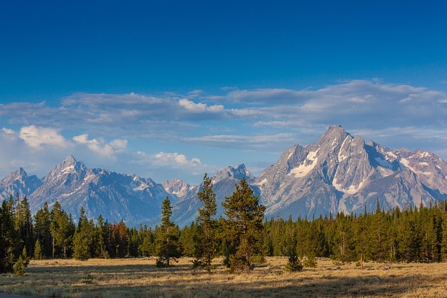 mountains, hill, yellowstone, national park, nature, travel, grand teton national park, wyoming, scenic, clouds, woods, landscape, yellowstone, yellowstone, yellowstone, yellowstone, yellowstone