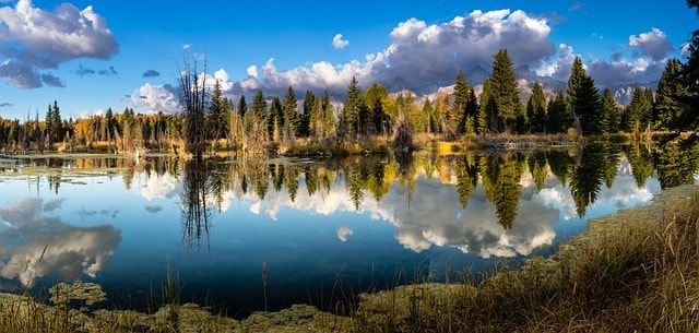 schwabacher landing, snake river, grand tetons, wyoming, mountains, landscape, teton, scenery, wilderness, sky, water, clouds, reflections