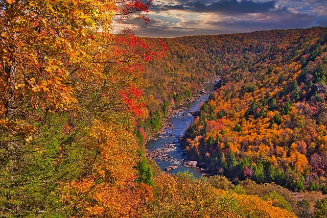new river, trees, fall, color, river, stream, nature, west virginia, foliage, mountains, travel, west virginia, west virginia, west virginia, west virginia, west virginia
