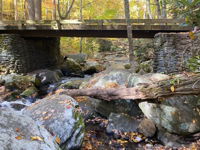 A family hiking on a well-maintained trail in Smoky Mountain National Park, surrounded by lush greenery and gentle slopes. best hikes smoky mountains, best trails smoky mountains, 