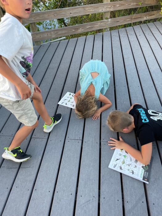 Working on junior ranger program books in the everglades