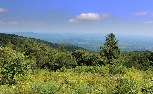shenandoah valley, skyline drive, virginia, mountaintop, sky, shenandoah valley, shenandoah valley, shenandoah valley, skyline drive, nature, skyline drive, skyline drive, skyline drive, mountaintop, mountaintop, mountaintop, mountaintop, mountaintop