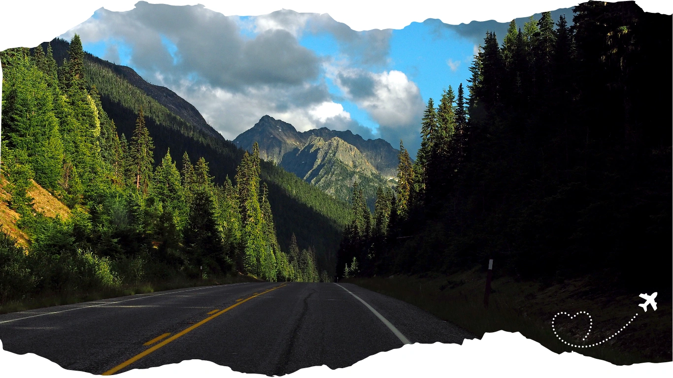 A winding mountain road cutting through lush green pine forests. Family Travel Unplugged. Traveling the US. Roadtrips. Traveling with Kids. Roadtrip with Kids. US Travel. Adventures with Kids. US Adventures. National Parks. US National Parks. northern mountain road trip, scenic drive USA, family SUV travel, mountain adventure, road through the forest, US national parks, road trip photography, travel with kids, outdoor family travel