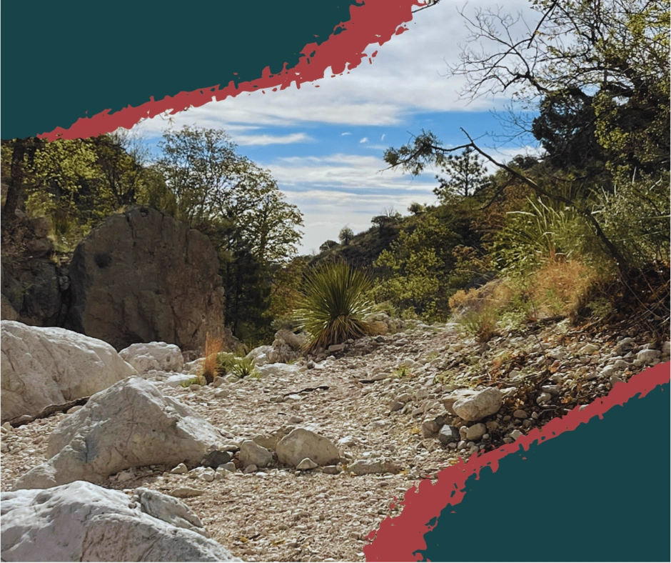 Kids standing at the Guadalupe Peak trailhead in Guadalupe Mountains National Park. Things to do with kids in Guadalupe Mountain National Park. Hiking Guadalupe Mountain National Park