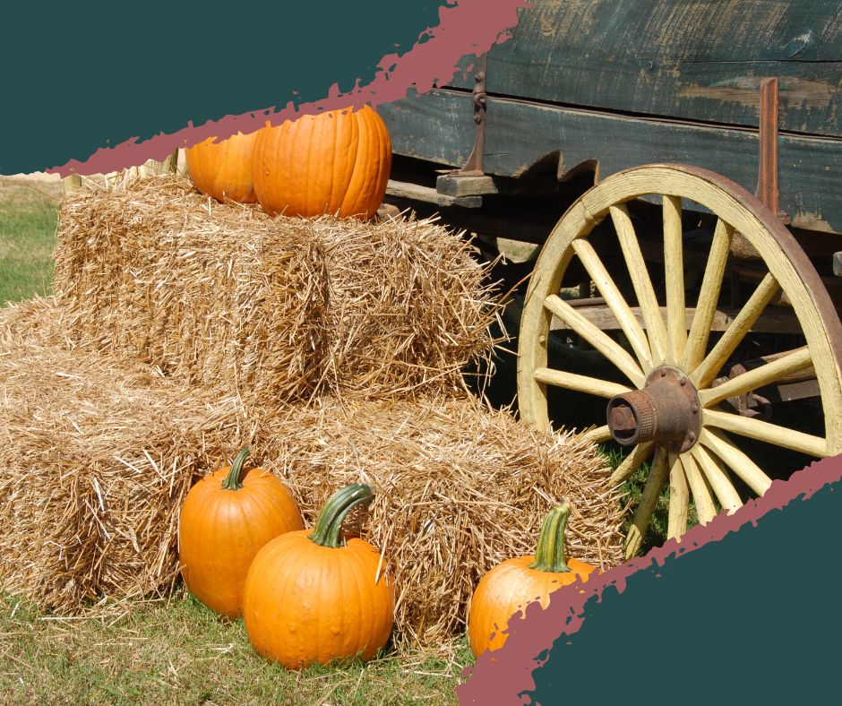 A family with young children walking through a pumpkin patch, each carrying a freshly picked pumpkin. Best Pumpkin Farms Ohio.