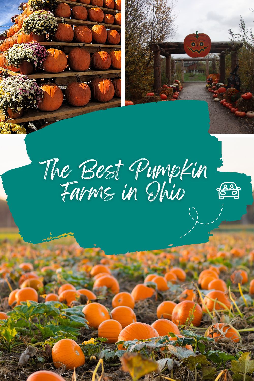 A vibrant display of orange pumpkins of various sizes scattered across a grassy field at an Ohio pumpkin farm during fall.
